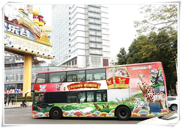 動(dòng)物伴你同行，這個(gè)公交車廣告有點(diǎn)萌哦!