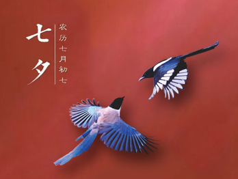 七夕節(jié)，你秀恩愛了嗎?
