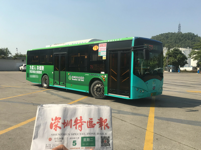 深圳綜合細(xì)胞庫(kù)深圳公交車(chē)廣告