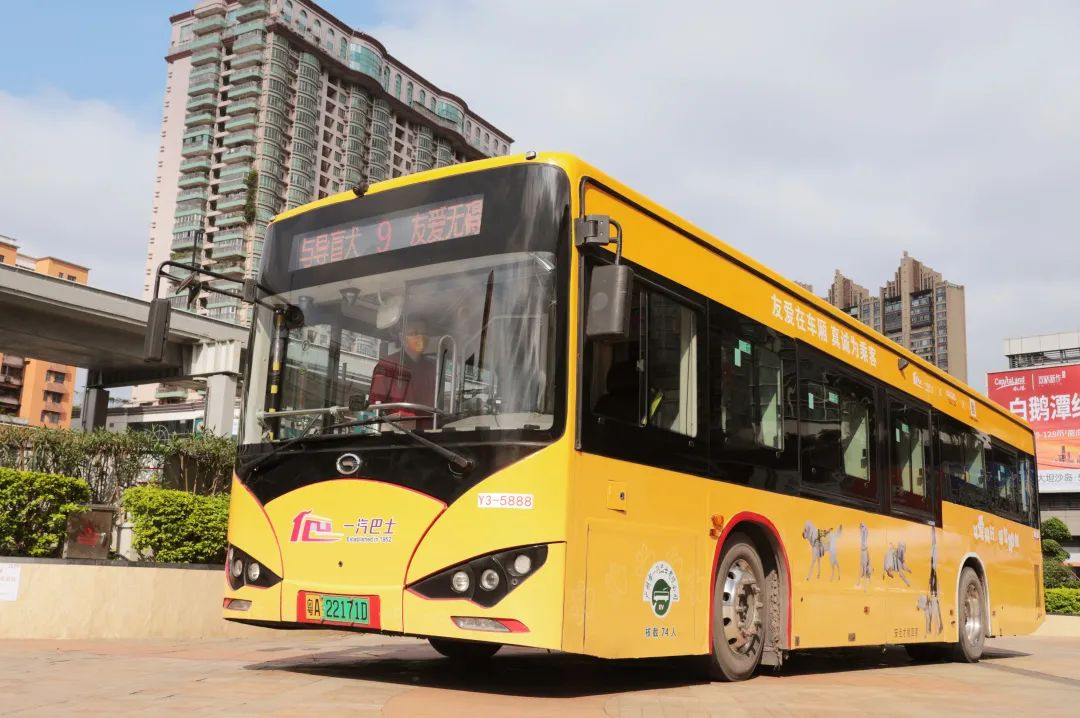 “導(dǎo)盲犬主題巴士”廣州公交廣告9路線發(fā)車了！