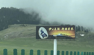 新疆高速立柱大牌廣告案例，烏魯木齊高速廣告酒類廣告案例