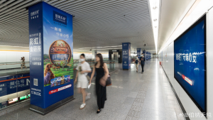 上海地鐵花木路站廣告價(jià)格多少錢？上海地鐵會(huì)展廣告案例亞寵展