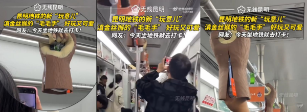 廣告有價(jià)創(chuàng)意無(wú)價(jià)！昆明地鐵拉手廣告爪子戴手套特產(chǎn)貓哆哩案例