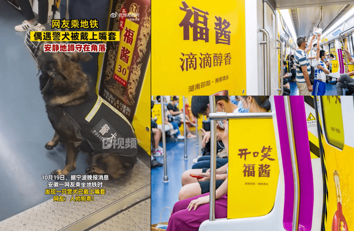 長沙地鐵廣告價格多少錢？長沙地鐵列車內包車廣告全線覆蓋酒案例
